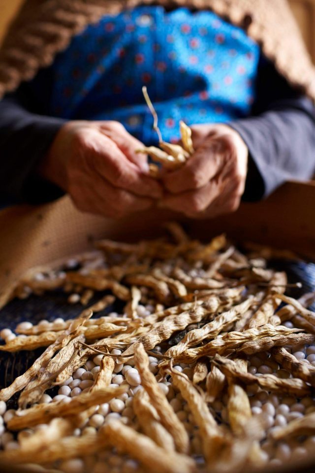 pasta e fagioli di Controne tra i migliori piatti del Cilento