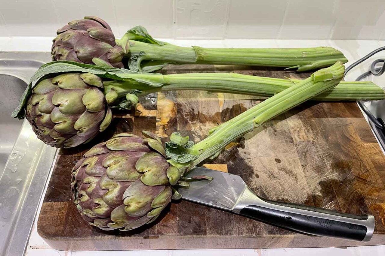 pasta fresca con i carciofi: 