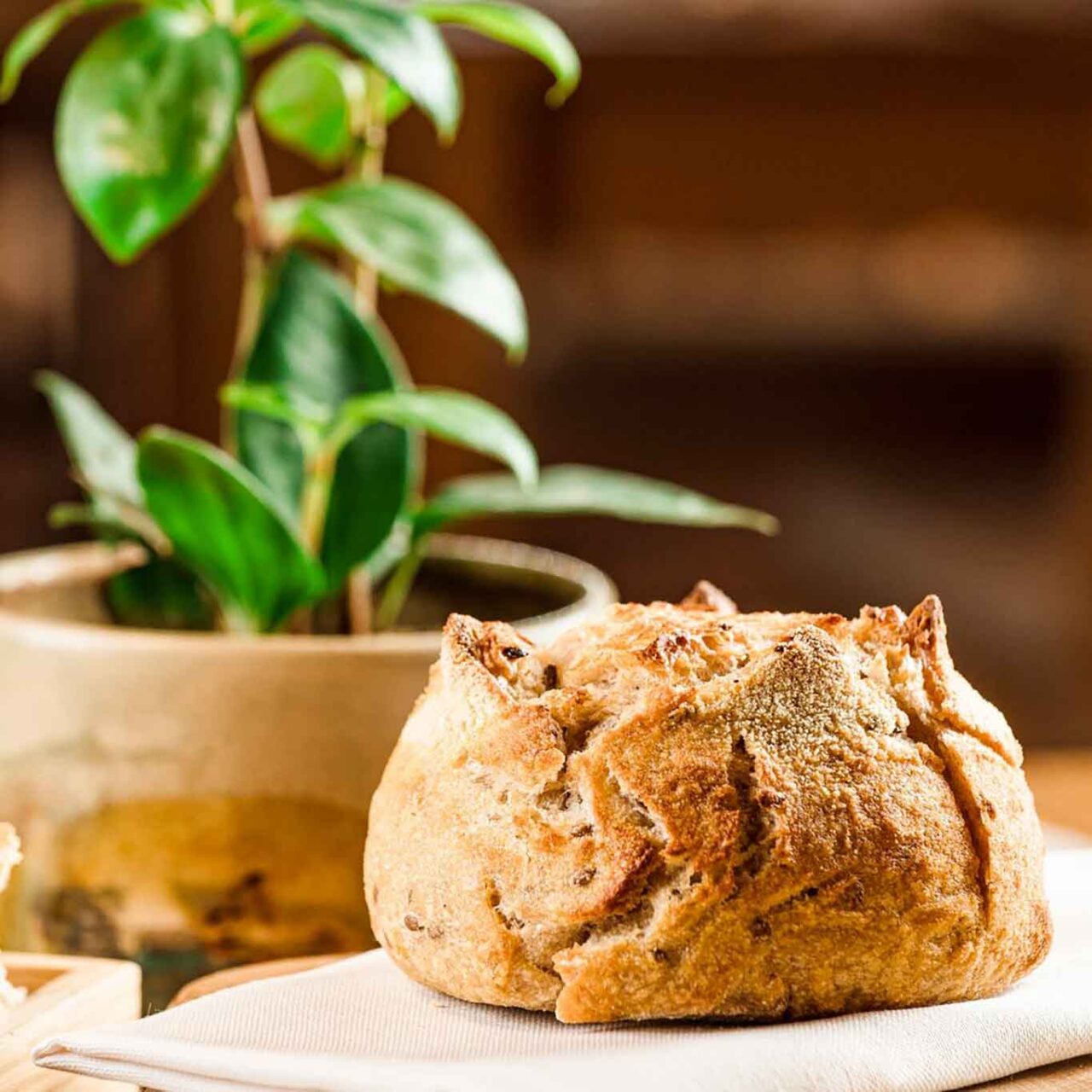 il pane del ristorante agriturismo Seguire le Botti a Borgo Vodice 